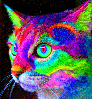 unusualember Avatar
