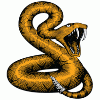 Jakerthesnak Avatar