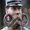 commandercrazy Avatar