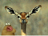spakon Avatar