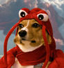 cocoman Avatar