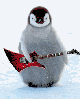 penguindick Avatar
