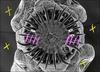 tapeworms Avatar