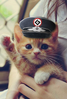 furrdurr Avatar