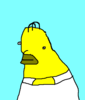 hotdogtoucher Avatar