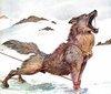 fenrir Avatar