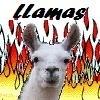 Pyrollamas Avatar