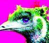 phatsno Avatar