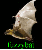 fuzzybat Avatar