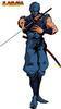 ninjagaiden Avatar