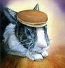 heavymetalpancakes Avatar