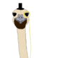 iamostrich Avatar