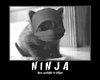 ninjacat Avatar