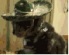 MrDarkEddy Avatar