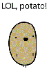 ninjaface Avatar