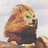 talfur Avatar