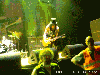 snakepit Avatar