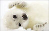 harpseal Avatar