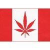 icaptaincanada Avatar