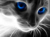 zeiger Avatar