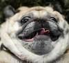 derpinderpina Avatar