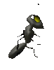 TheTallAnt Avatar