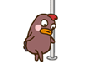 whykecoakfly Avatar
