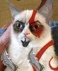 useralreadytaken Avatar