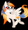 alesbellatorflamas Avatar