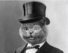 suitruss Avatar