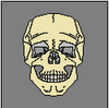 zramn Avatar