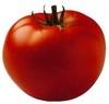tomatoto Avatar