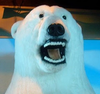 threadcreator Avatar