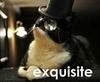 lulzkitteh Avatar