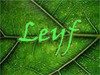 Leyf Avatar
