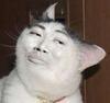 shutyomouth Avatar