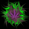 Zyklone Avatar
