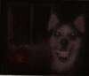 creepypasta Avatar