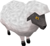 maxmoefoe Avatar