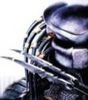 PredatorElite Avatar
