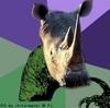 rhinoraptor Avatar