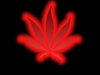 GGNHellfire Avatar