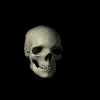 xxxrjrxxx Avatar