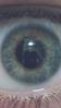 colinmartin Avatar