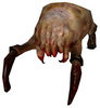 harrytheheadcrab Avatar