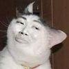 catpisseverdeen Avatar