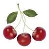 teocherries Avatar