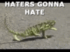 mrporcupineman Avatar