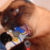 effthree Avatar