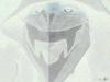 necrolaugh Avatar